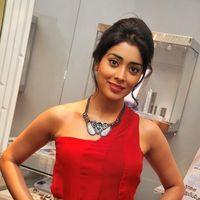 Shriya Saran at Wings of Fantasy Launch - Pictures | Picture 109851